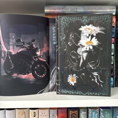 Torment Part 1 and Part 2 by Dylan Page Mystic Book Box Special Editions
