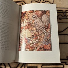 Book Edward Detmold Fables of Aesop Leather Fine Binding Vintage Ltd. Ed. Books