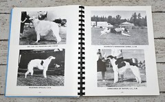 Borzoi Club Of America 1985 Yearbook BCOA Vintage Sprial Bound