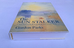The Sun Stalker: A Novel Based on the Life of Joseph Mallord William Turner