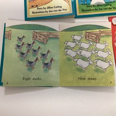 Sunshine Kindergarten 1st Grade Reader 10 Book Lot Level A-D Rigby Wright