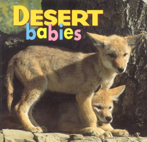 Desert Babies (Animal Babies) – Board book By McCurry, Kristen – GOOD