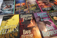 Christine Feehan (Paranormal Romance) paperback book lot (17 books)