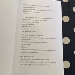 This Is For The Women Who Don’t Give A Fuck by Janne Robinson 2017 POETRY
