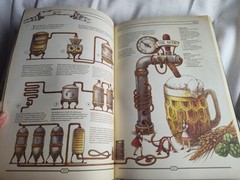 RARE! The Book The Ultimate Guide To Rebuilding Civilization Quest Ed pg 378-379