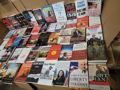 Lot of 10 Political Science Government Law Constitution US World Book MIX*RANDOM