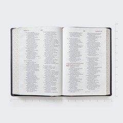 NBLA, Biblia para la Lectura Pública, Versificada, Letra Grande, Piel de Cabra,