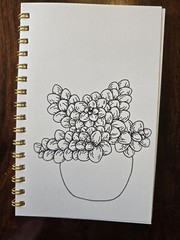 House Plants Coloring books for adults. A5 Size Coloring Book 8.5 in X 5.5 in.