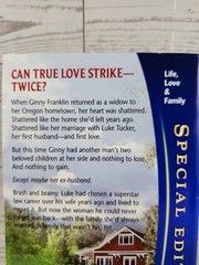 Twice Her Husband (Silhouette Special Edition, No 1755) – VERY GOOD