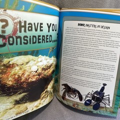 Wonders of God’s Creation By Eric Lyons Homeschool Science Supplement Book