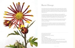 Chrysanthemums: Beautiful Varieties for Home and Garden (Flowers), Slade, Naomi,