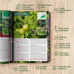 The Forager’s Guide to Wild Foods (paperback with color pictures)