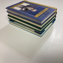 Dear America Royal Diaries 5 Book Lot HC
