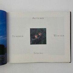 Texas Seasons by Wyman Meinzer and Ray Sasser (1999, Hardback) VGC 175 pages