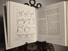 Susan E. Harris Horse Gaits, Balance and Movement (1993)