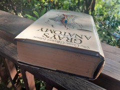 Gray’s Anatomy: The Classic Collector’s Edition~Henry Gray~VINTAGE 1977 HC/DJ