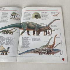 Vintage 1993 DINOSAURS Dougal Dixon Lot of 5 Highlights Books for Children