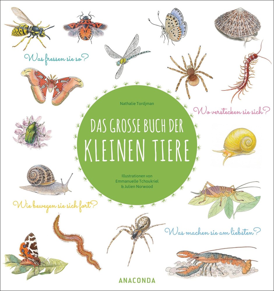 Nathalie Tordjm Das große Buch der kleinen Tiere: Wunders (Hardback) (UK IMPORT)