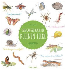 Nathalie Tordjm Das große Buch der kleinen Tiere: Wunders (Hardback) (UK IMPORT)