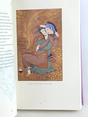 RUMI ILLUSTRATED by Jalal Al-Din Rumi (Chinese Bound Hardcover) *Brand New*