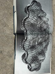 The Shell: HARRY N. ABRAMS 1988 Hardcover w/ Dust Jacket