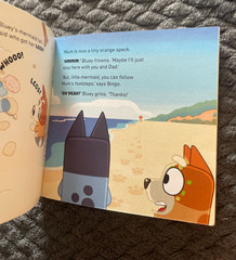 BLUEY. THE BEACH. PUFFIN BOOKS. 10 BY 10CM. APPROX 25 PAGES.