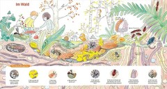 Nathalie Tordjm Das große Buch der kleinen Tiere: Wunders (Hardback) (UK IMPORT)