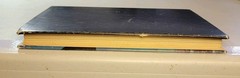 Sturgeon is Alive and Well Putnam 1971 Hard Cover Book Club Edition