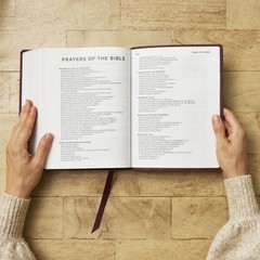 The Prayer Bible: Pray God’s Word Cover to Cover (NIV, Burgundy Leathersoft,…
