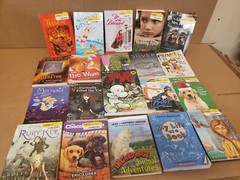 Lot of 100 Chapter INSTANT LIBRARY Children RANDOM~MYSTERY BOX~UNSORTED BOOK MIX