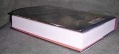 A BURNABLE BOOK by Bruce Holsinger 2014 HC/DJ ~ 1st Edition 1st Printing + Cover
