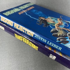 Transfigurations Bishop & Beyond Rejection Leiber 2 Vintage Hardcover Book