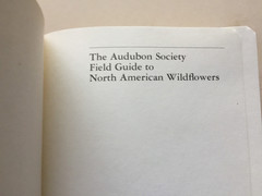 The Audubon Society Field Guide, North American Wildflowers Western Rgion 1979
