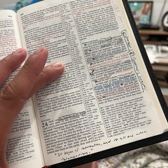 ✝️ Pitt Minion Reference Bible NKJV Calf Skin Leather / Fine Binding – Cambridge