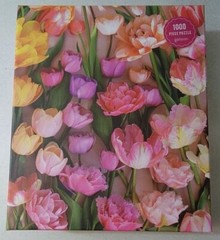 Ephemeral Tulips 1000 Piece Puzzle by Galison (2025) 27″ x 20″ LIKE NEW