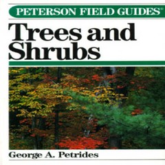 A Field Guide to Trees and Shrubs (Peterson Field Guides) – Paperback – GOOD
