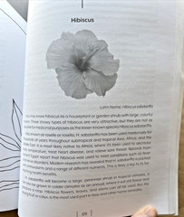 The Doctor’s Book Of Survival Home Remedies Revised Edition by Dr John Herzog PB