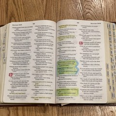 Nelson Bible 6365SAM NCV New Century Version Giant Print Book Tabs *READ*