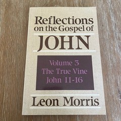 Reflections on the Gospel of John Vol 3 Leon Morris 1988 Baker Book House