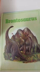 Rare Vintage Lot Of 29 Rourke Hardcover Dinosaur Library Series Books Set