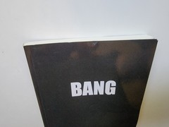 Bang : More Lays in 60 Days by Roosh V (2007, Trade Paperback) art of hooking up