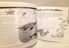 The Kids’ Natural History Book: Making Dinos, Fossils, Mummies & More! Projects