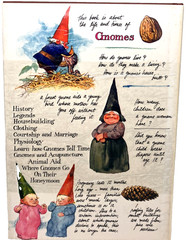 Gnomes book The life and times of Gnomes 212 pgs all in color HC 1977 Signed