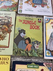 Children’s Picture Book Lot