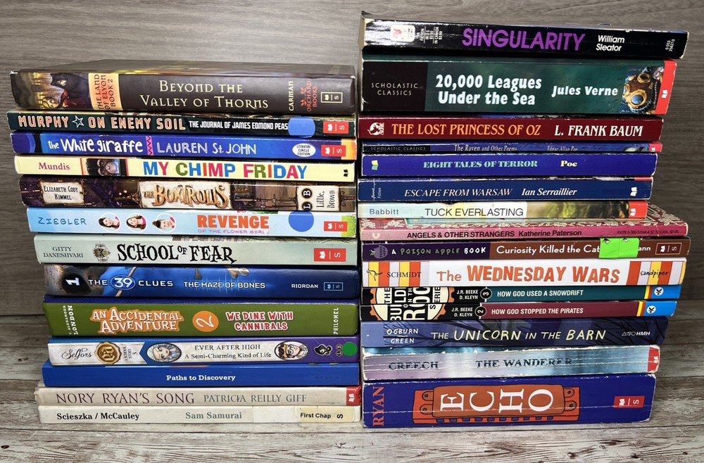 Lot of 28 Grade 3-6 Chapter Books Novels 14lbs / 39 Clues, ECHO , School of Fear