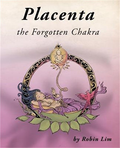 Placenta – The Forgotten Chakra (Paperback or Softback)