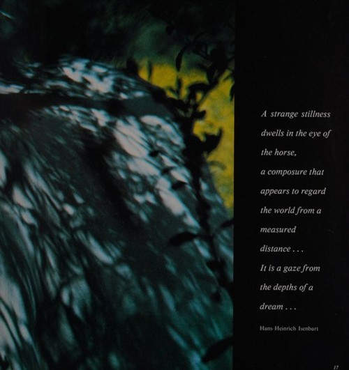 Equus : The Creation of a Horse Paperback Robert Vavra