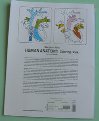 Dover HUMAN ANATOMY Coloring Book,Ziemian/Matt, ALL CLEAN! 44-pages