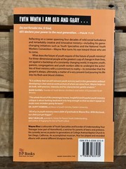 Reinventing Youth Ministry (Again) by Wayne Rice (2010 Paperback)