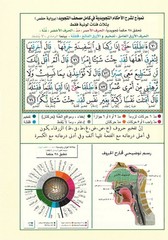 Tajweed Quran – Juz’ Amma, Tabarak and Qad Same’a – QR – 7×9.5 in – Color-Coded